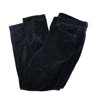 J.Crew ToothPick Blue Corduroys Pants